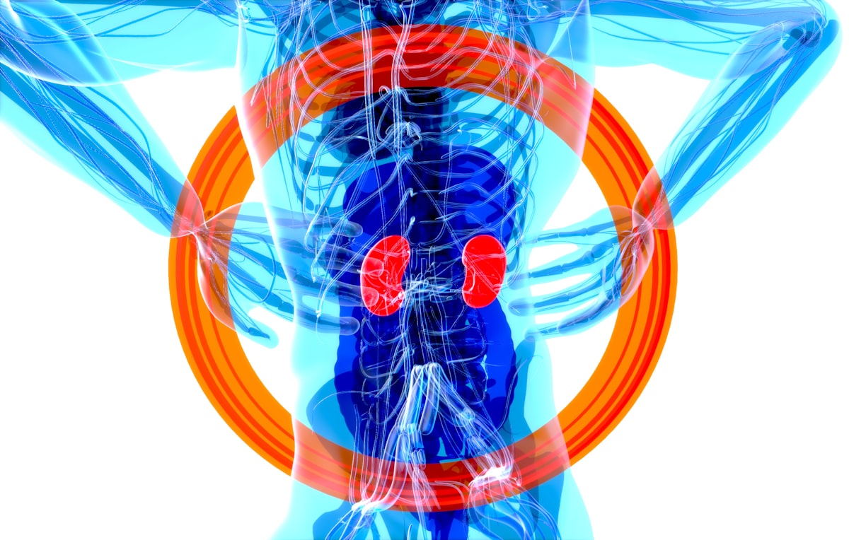 Expert research on urological health